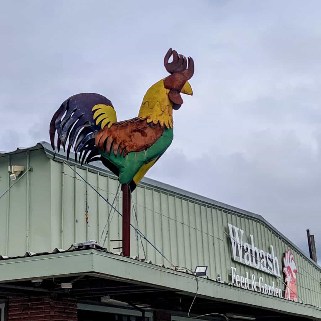 Wabash Feed Store Rooster