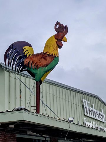 Wabash Feed Store Rooster