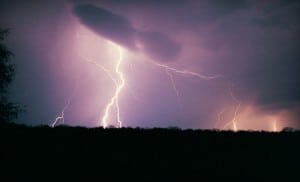 The-Weather-Museum_grid_6