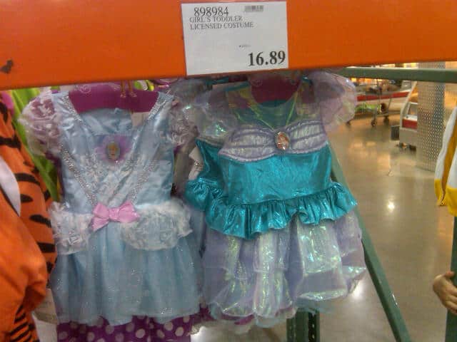 costco princess dress