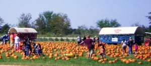 PumpkinPatch
