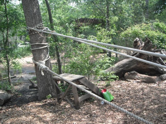 Rope Bridge at Houston Arboretum