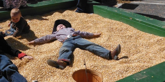 RodeoJoe