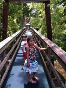 Bridge
