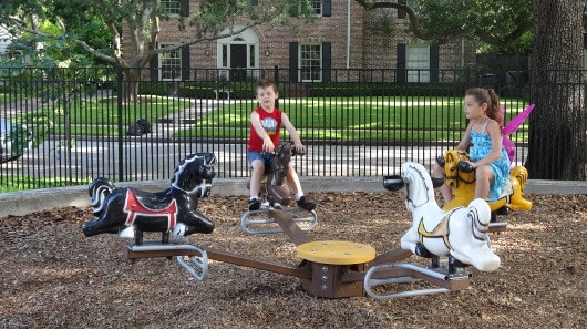 Horses