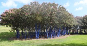 Blue Trees