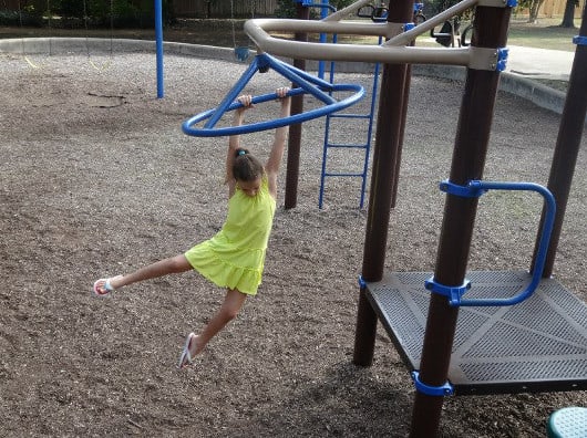 Karl Young Park Monkey Bars