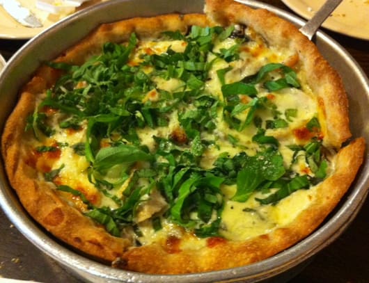 Chicken Alfredo Chicago style on wheat crust