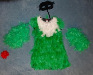 DIY Hummingbird Costume