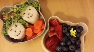 Rice Ball Faces with Sprout Hair