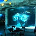 Downtown Auqarium Restaurant