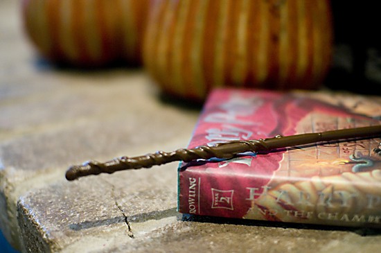 Harry Potter Wand and Book Main Photo