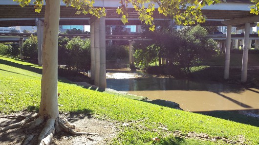 Bayou at Sabine Street Bridge