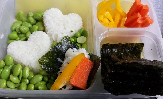 Make Your Own Sushi Lunch Box