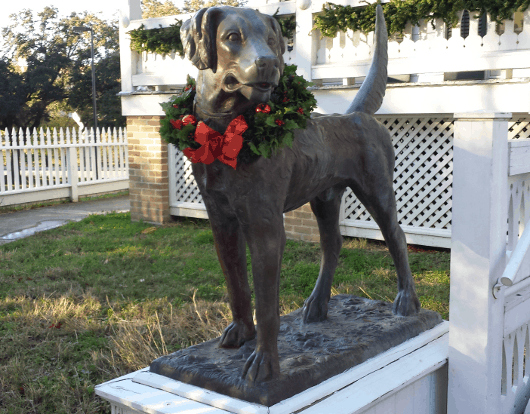 Christmas Dog