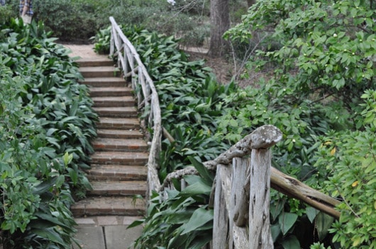 Steps at Bayou Bend Houston