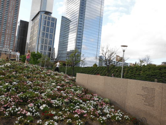 Discovery Green Splash Pad