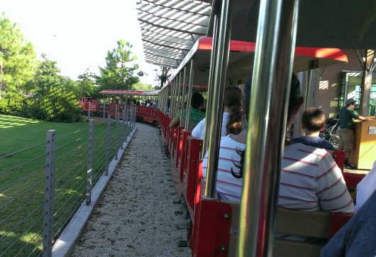 Hermann Park Train