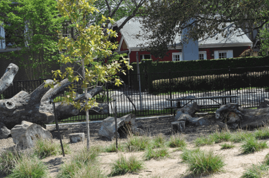 Logs at Wilson Spark Park