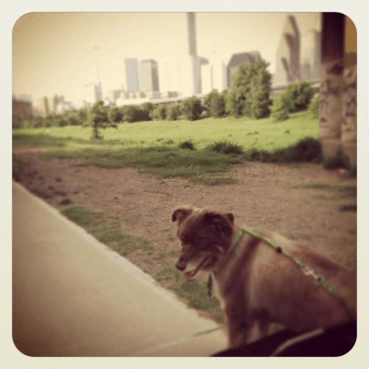 NOLA and Downtown Houston