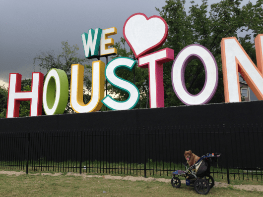 NOLA and We Love Houston Sign