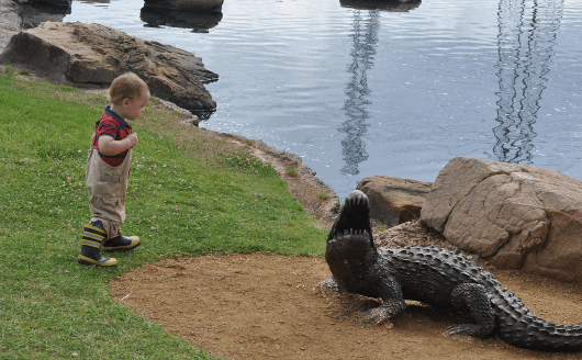 Alligator at Oyster Creek Park Sugar Land