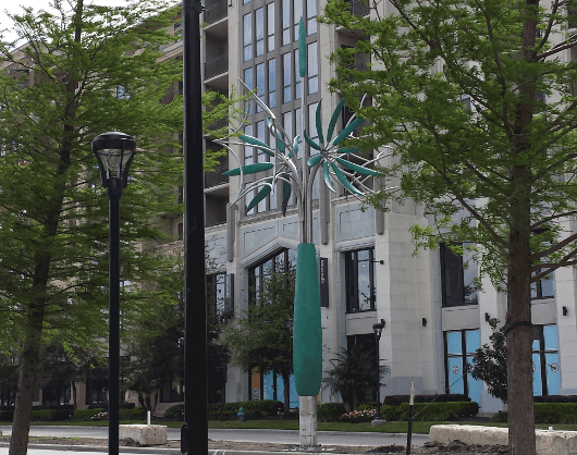 Tree in Median