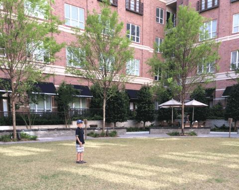 Courtyard at Punks Simple Southern Food