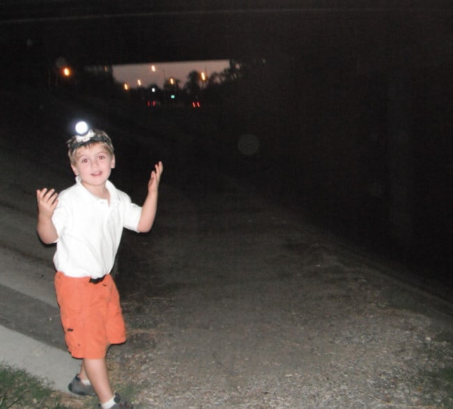 Joe Looking for Bats