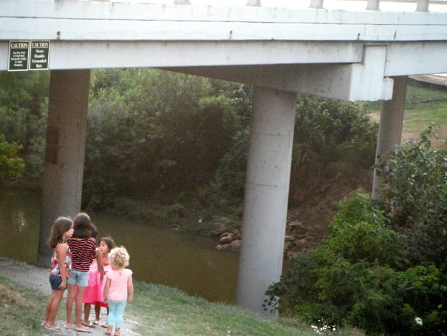 Waiting for the Bats at Waugh Bridge