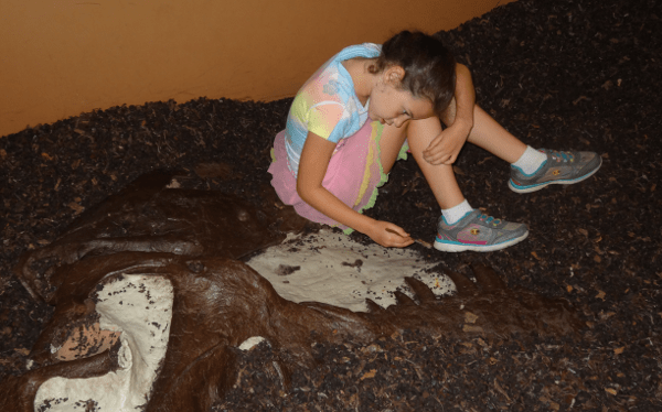 Digging for Fossels at Houston Museum of Natural Science Sugar Land