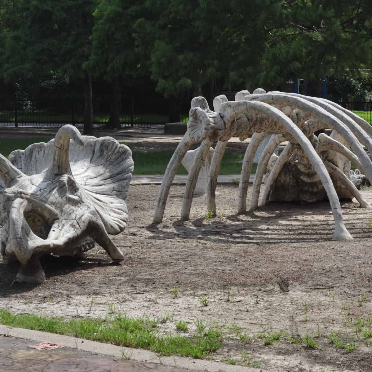 Dinosaur Bones at Travis Spark Park