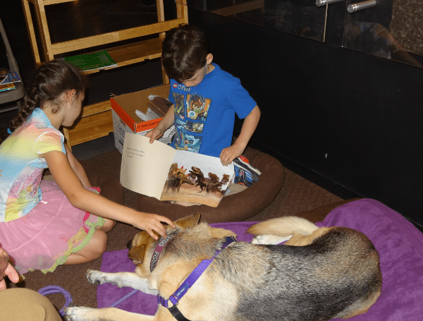 Reading Dog at Houston Museum of Natural Science Sugar Land