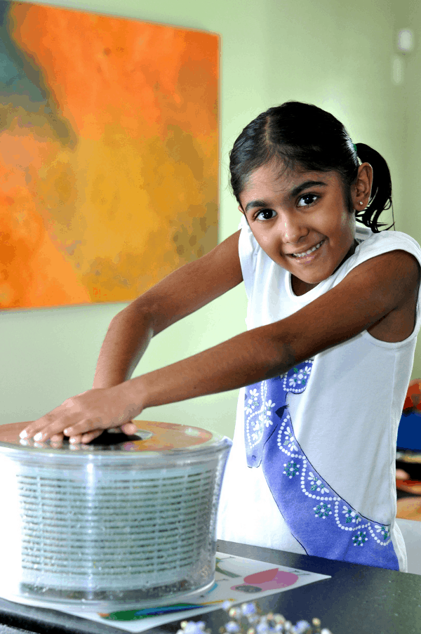 Salad Spinner for Summer Dinner