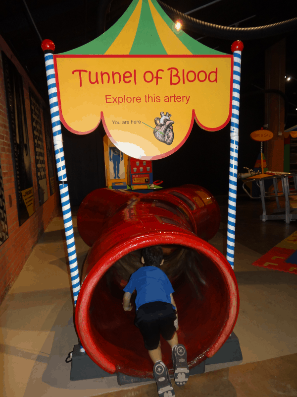 Tunnel of Blood at Houston Museum of Natural Science Sugar Land