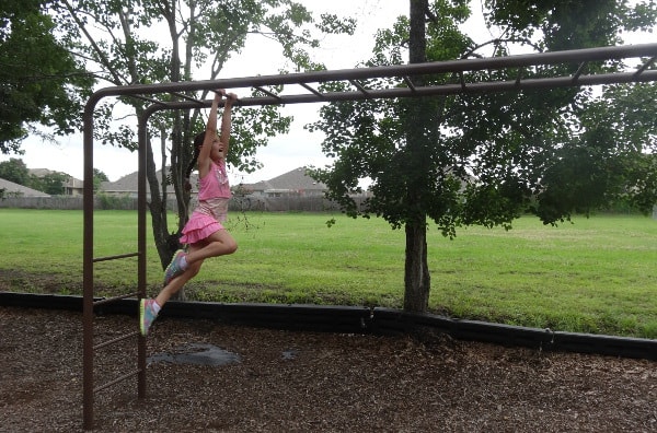 Brummerhop Park Monkey Bars