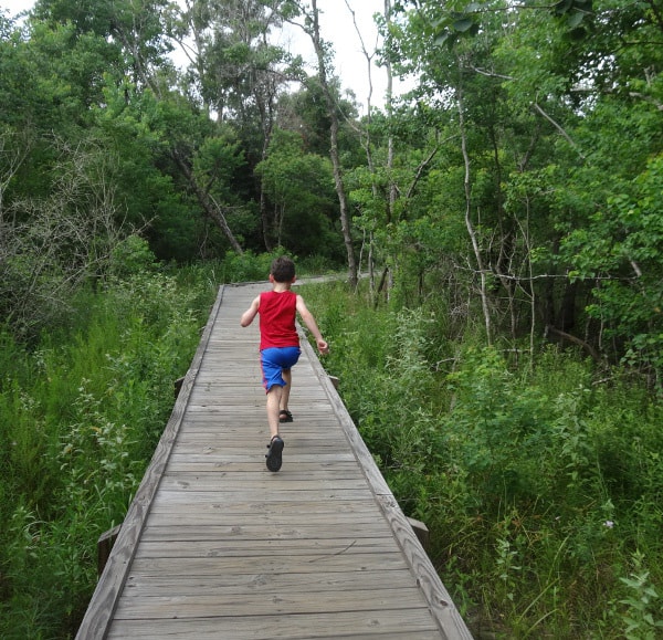 Brummerhop Park Park Path