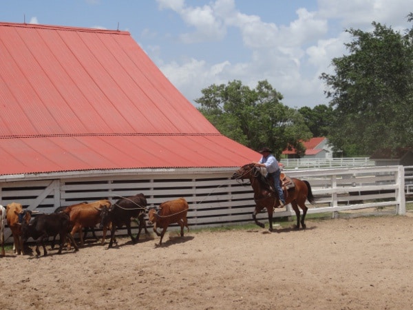 Cowboy at George Ranch Historical Park