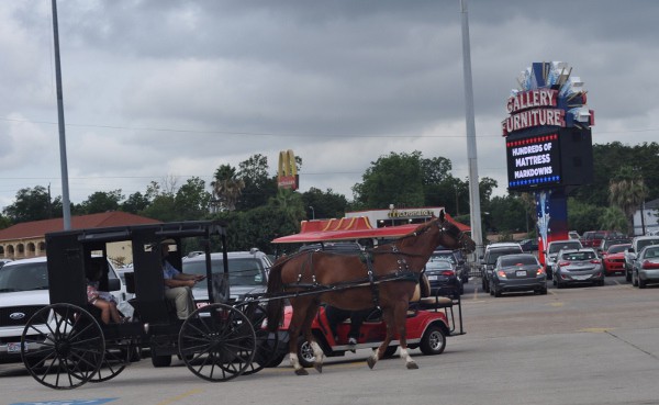 Gallery Furniture Horse Ride