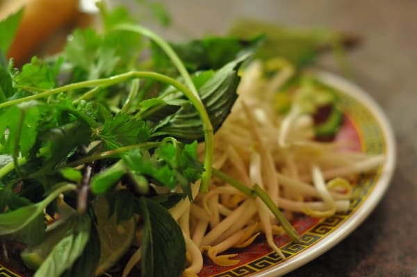 Pho Saigon Noodles