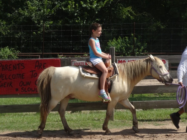 Riding Horses at Old Mac Donalds Farm