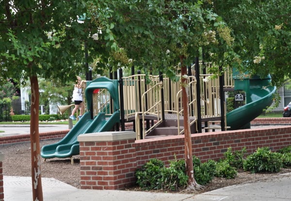 West Webster Park Playground