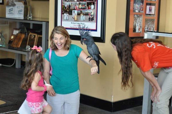 Gallery Furniture Birds and Smile