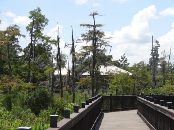 Texas Travel Information Center Boardwalk