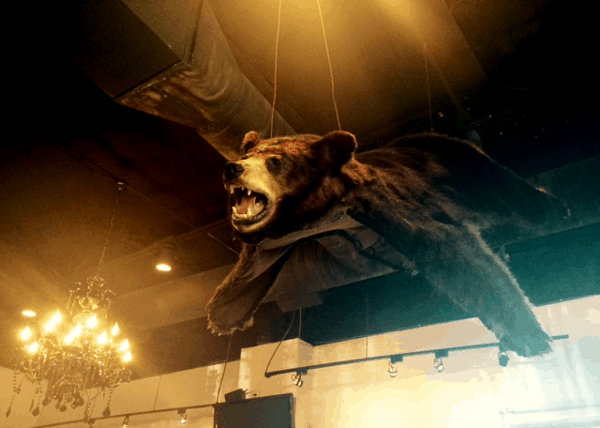 Bear at The Bird and The Bear