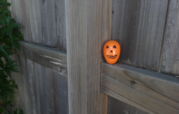 Halloween Egg on Fence