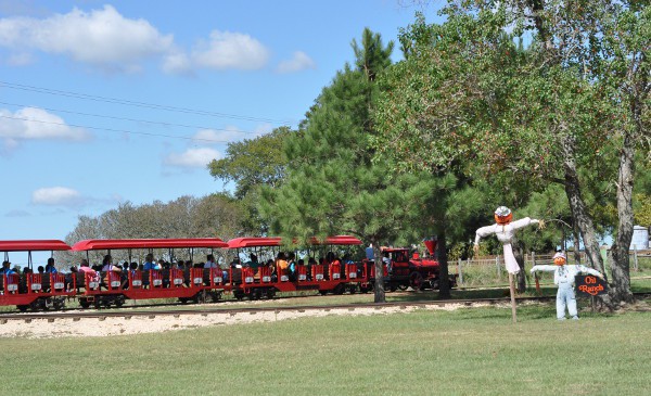 Ranch Train