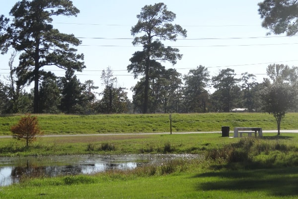 Water at Park