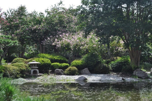 Hermann Park Japanese Garden 6