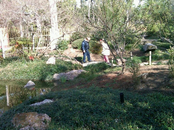 Hermann Park Japanese Garden Small Bridge